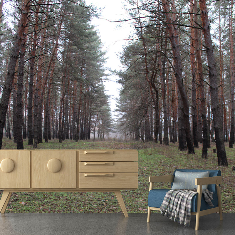 Pine Tree Mural Wall Covering Decorative Mildew Resistant for Sitting Room