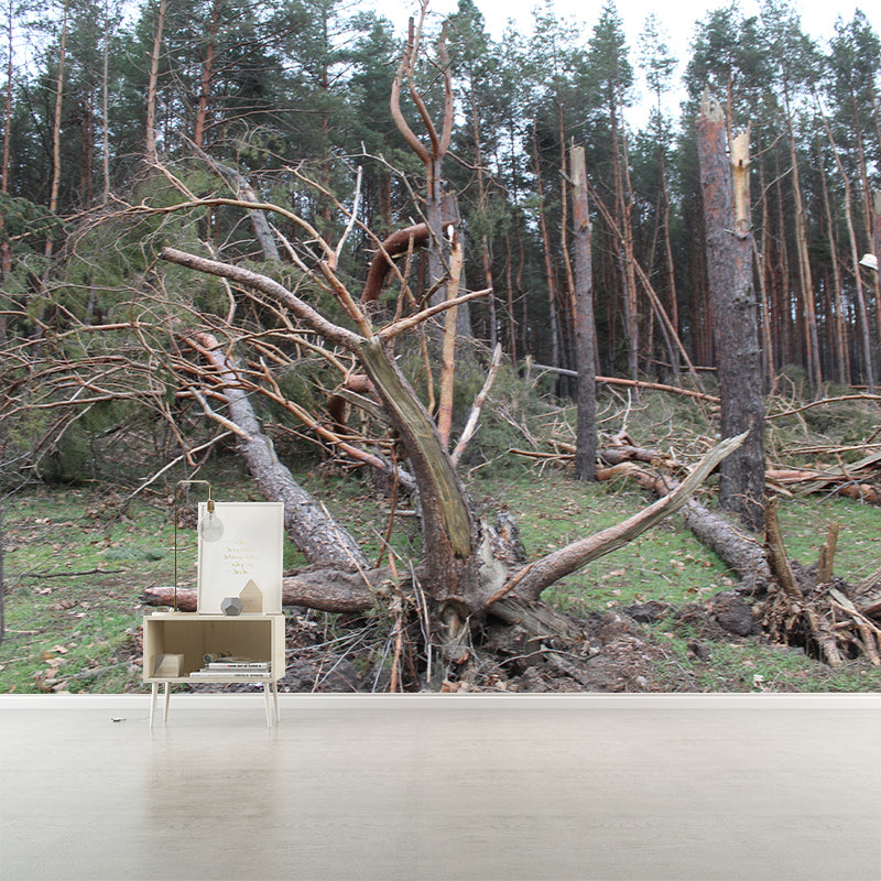 Pine Tree Mural Wall Covering Decorative Mildew Resistant for Sitting Room