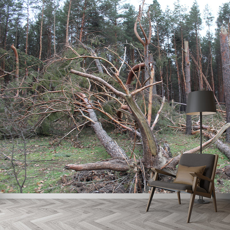 Pine Tree Mural Wall Covering Decorative Mildew Resistant for Sitting Room