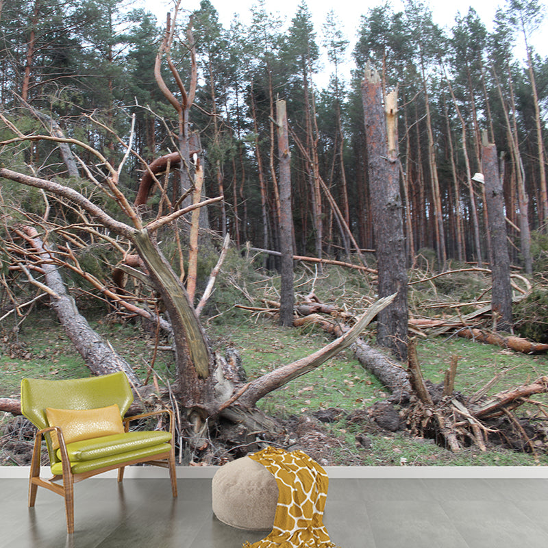 Pine Tree Mural Wall Covering Decorative Mildew Resistant for Sitting Room