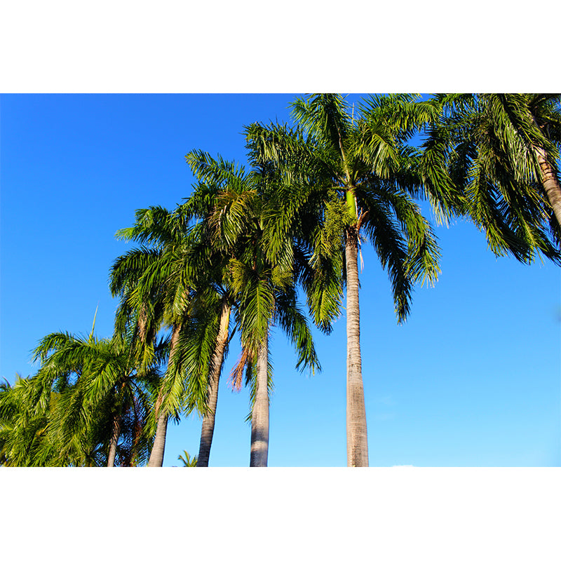 Tropical Tree Landscape Wall Murals Moisture Resistant Wall Decor for Sleeping Room