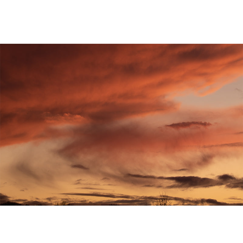 Cloudscape Wallpaper Mural Simple Style Sitting Room Mural for Wall Decor