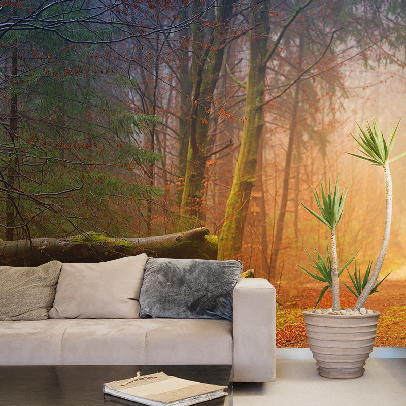 Space Extension Bedroom Mural Wallpaper Photography Mildew Resistant