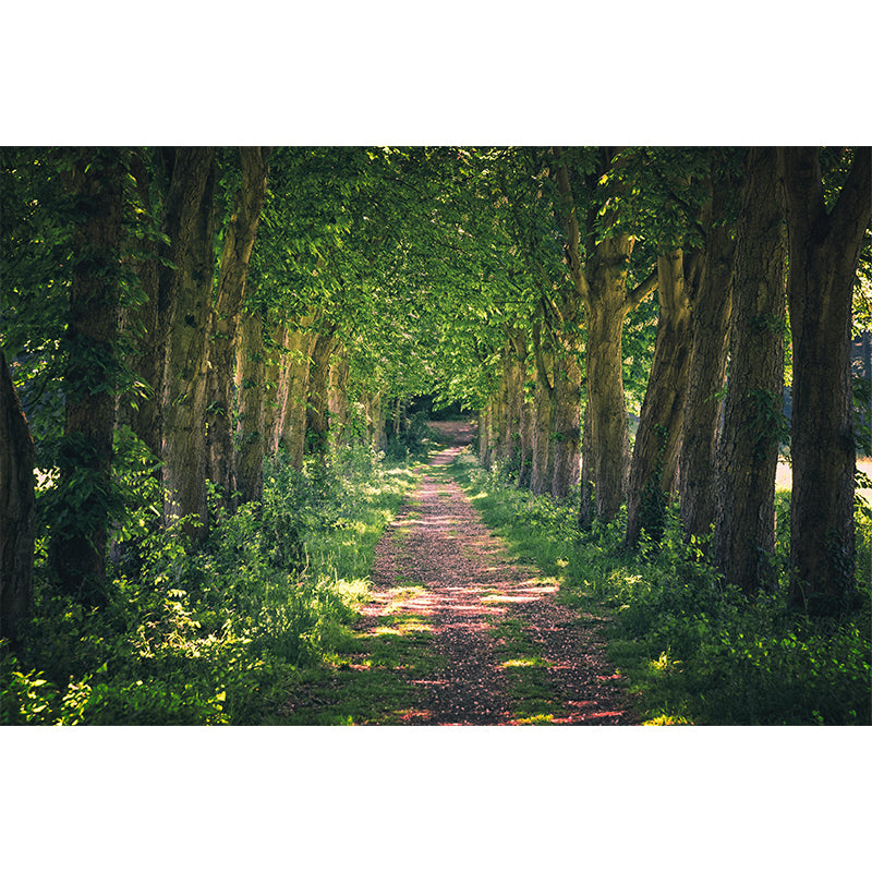 Space Extension Customized Mural Wallpaper Photography Mildew Resistant for Home