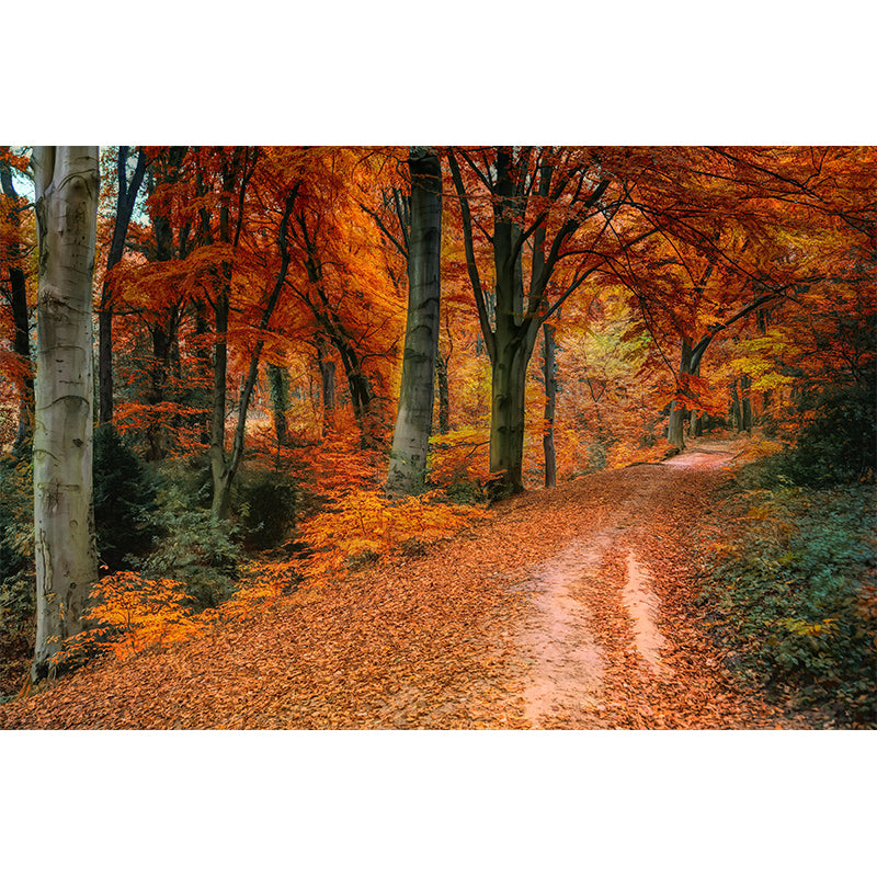 Space Extension Wall Mural Wallpaper Photography Mildew Resistant for Bedroom