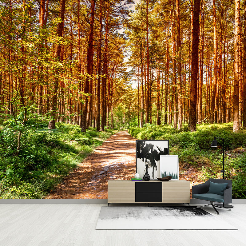 Space Extension Mural Wallpaper Photography Style Mildew Resistant for Room