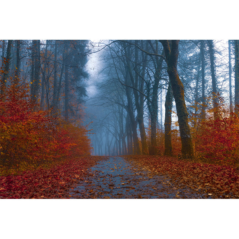 Photography Style Space Extension Mural Wallpaper Mildew Resistant for Room