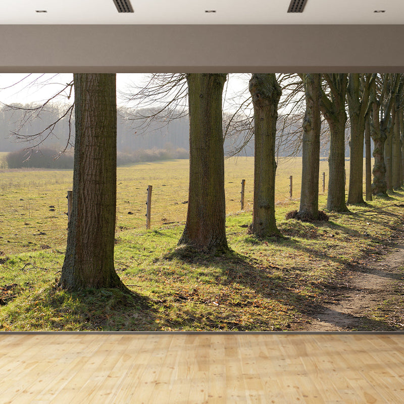 Space Extension Mural Wallpaper Photography Mildew Resistant for Living Room