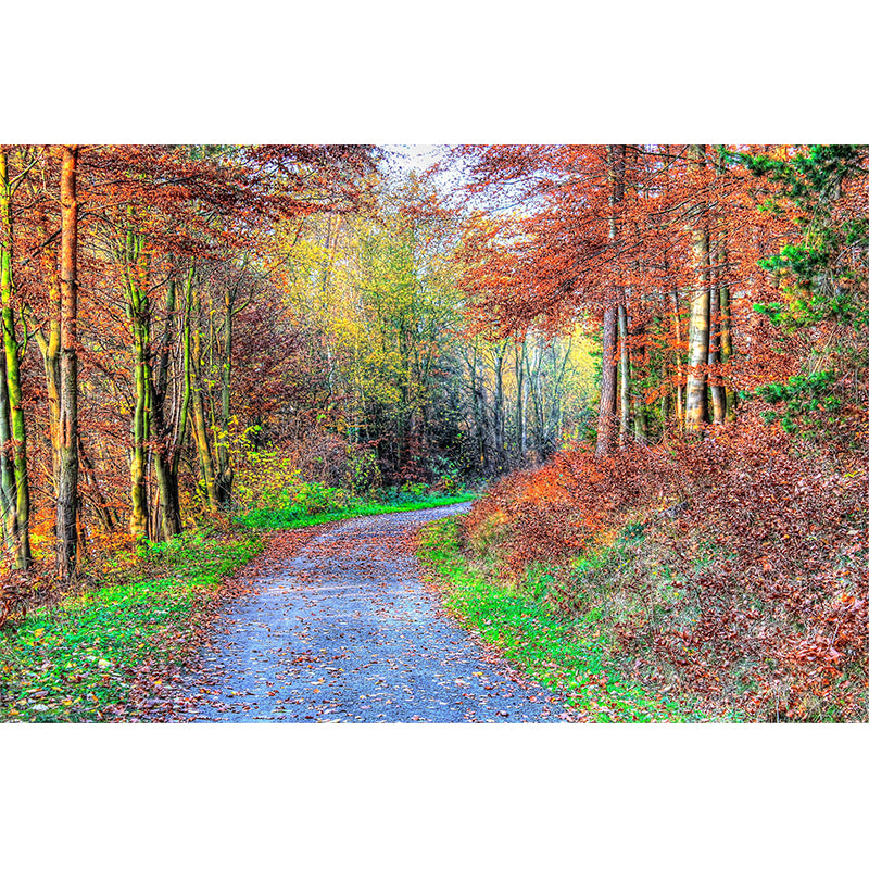 Space Extension Wallpaper Mural Photography Mildew Resistant for Living Room