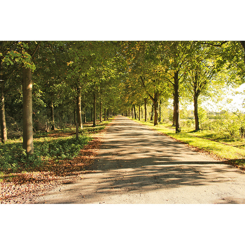 Space Extension Wall Mural Wallpaper Photography Style Mildew Resistant for Living Room