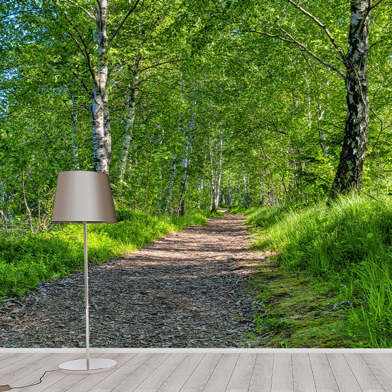 Space Extension Wall Mural Wallpaper Photography Style Mildew Resistant for Living Room