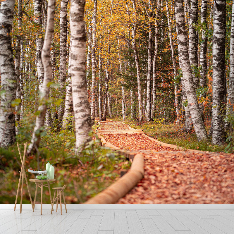 Space Extension Wall Mural Wallpaper Photography Style Mildew Resistant for Living Room