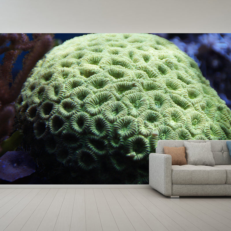 Seabed Wall Mural Wallpaper Tropical Beach Style Mildew Resistant for Wall Decor