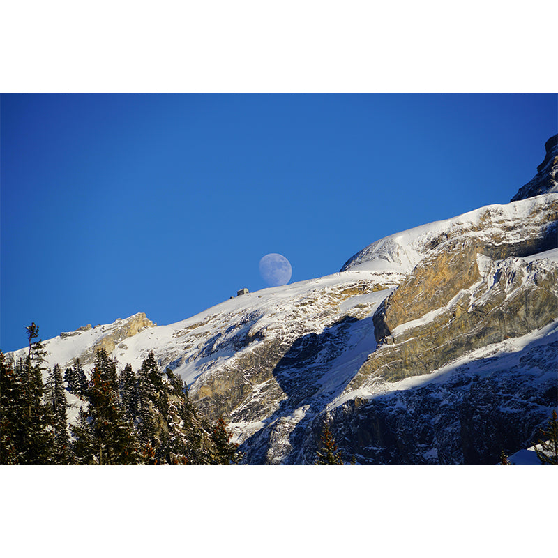 Mountain Wall Mural Wallpaper Modern Style Mildew Resistant Bedrom Mural