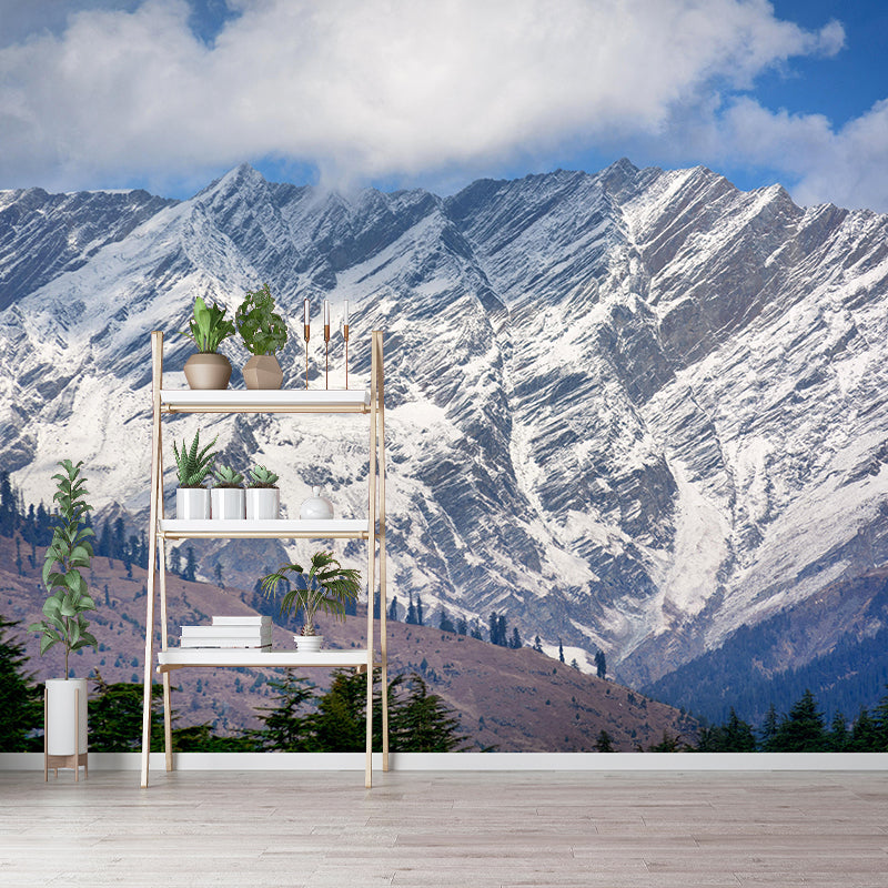 Large Mountain Mural Wallpaper Modern Style Mildew Resistant for Accent Wall