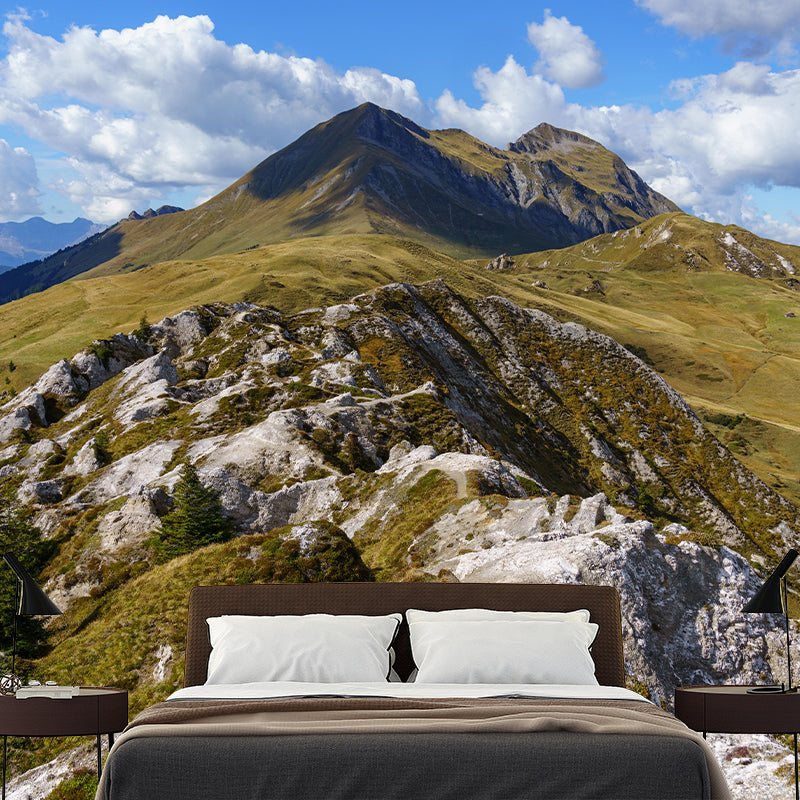 Large Mountain Mural Wallpaper Modern Style Mildew Resistant for Accent Wall