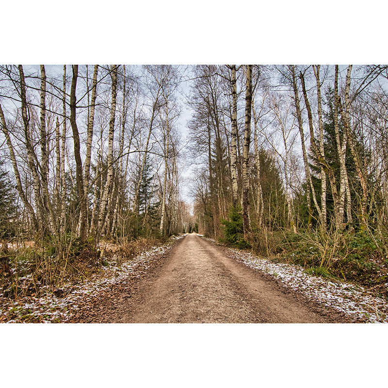 Mildew Resistant Space Extension Mural Wallpaper Modern for Home Decor