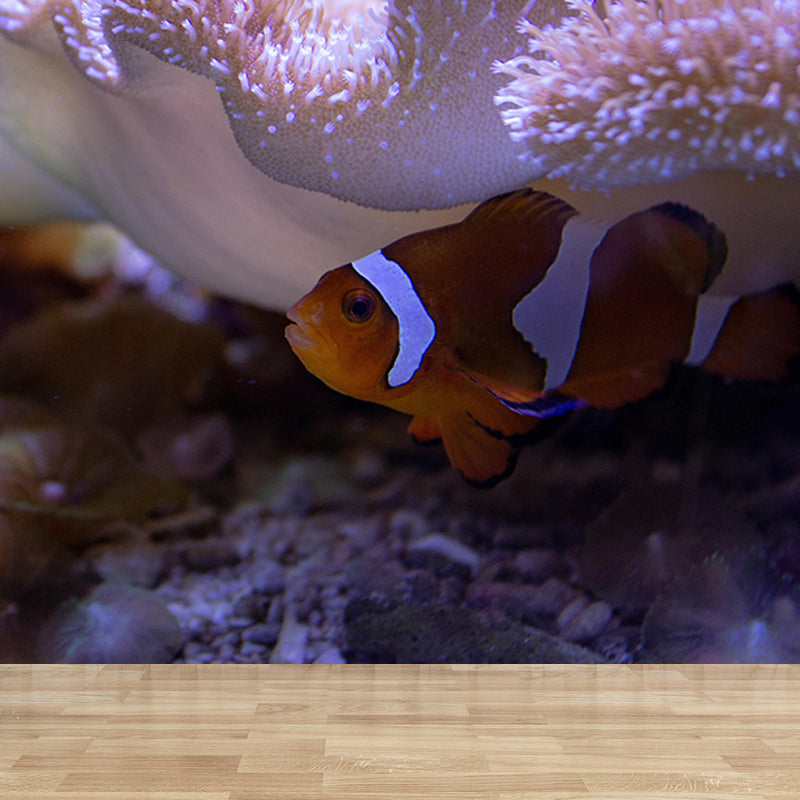 Vivid Fish Seabed Wall Mural Modern Style Mildew Resistant for Sleeping Room