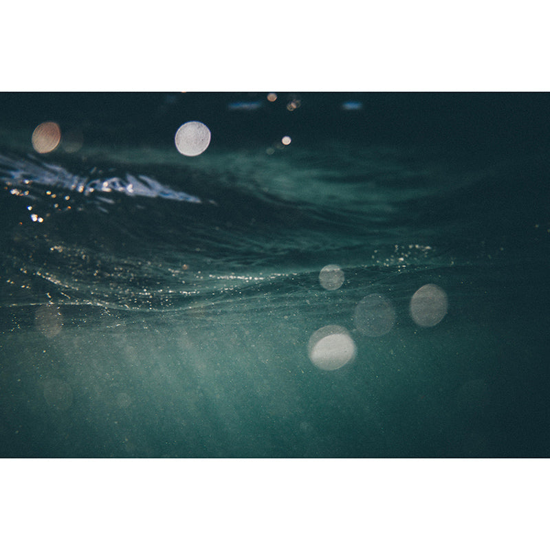 Mysterious Seabed Wall Mural Modern Style Mildew Resistant for Bedroom