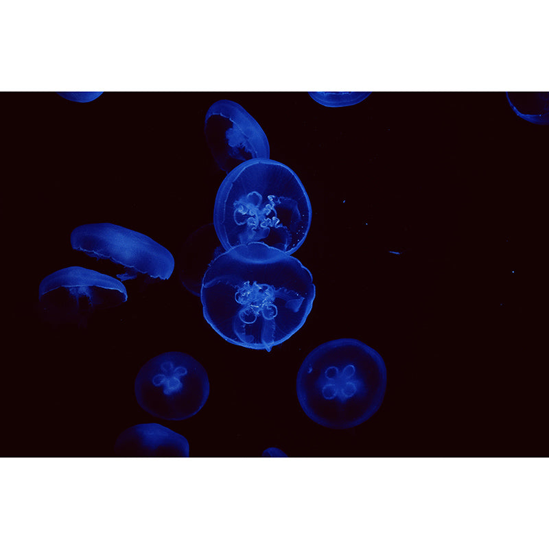 Environment Friendly Mural Wallpaper Tropical Beach Style Mural for Decoration