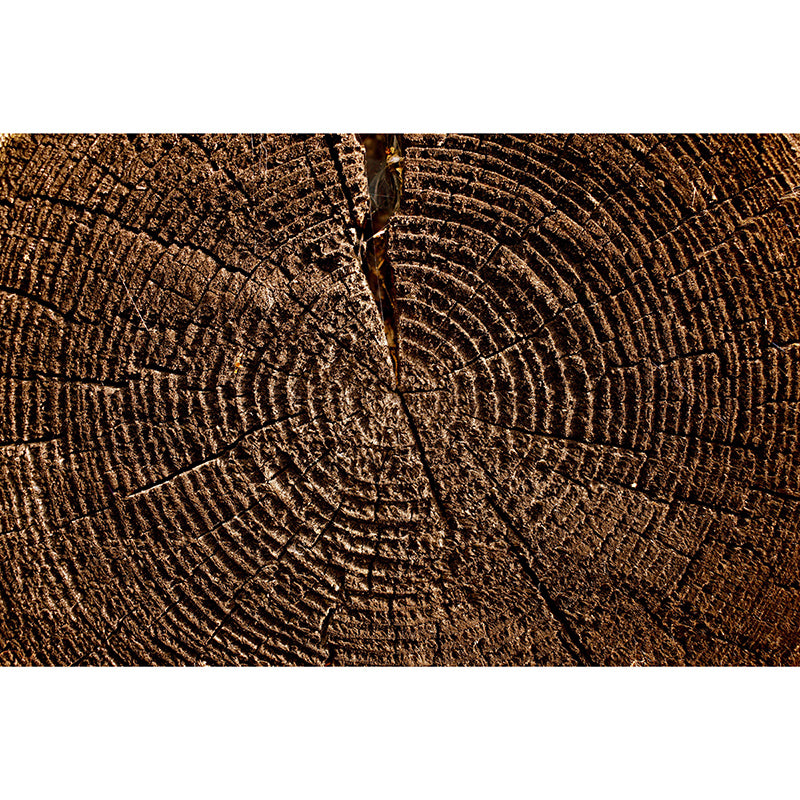 Wooden Style Environment Friendly Mural Industrial Style Wood Texture Mural for Bedroom