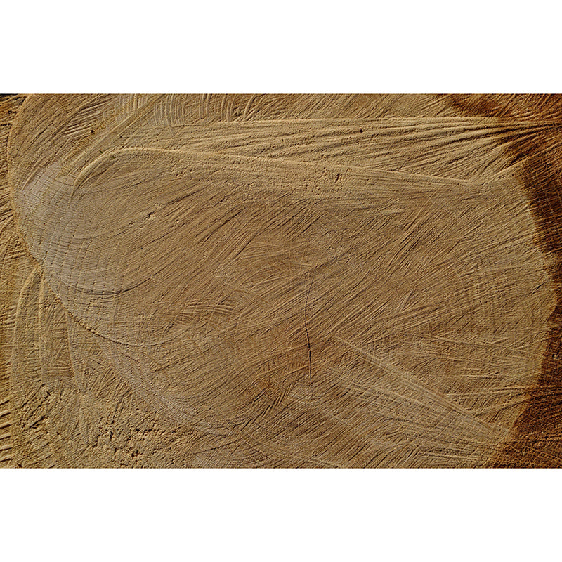 Industrial Style Wood Environment Friendly Mural Wallpaper Texture Mural for Wall Decor