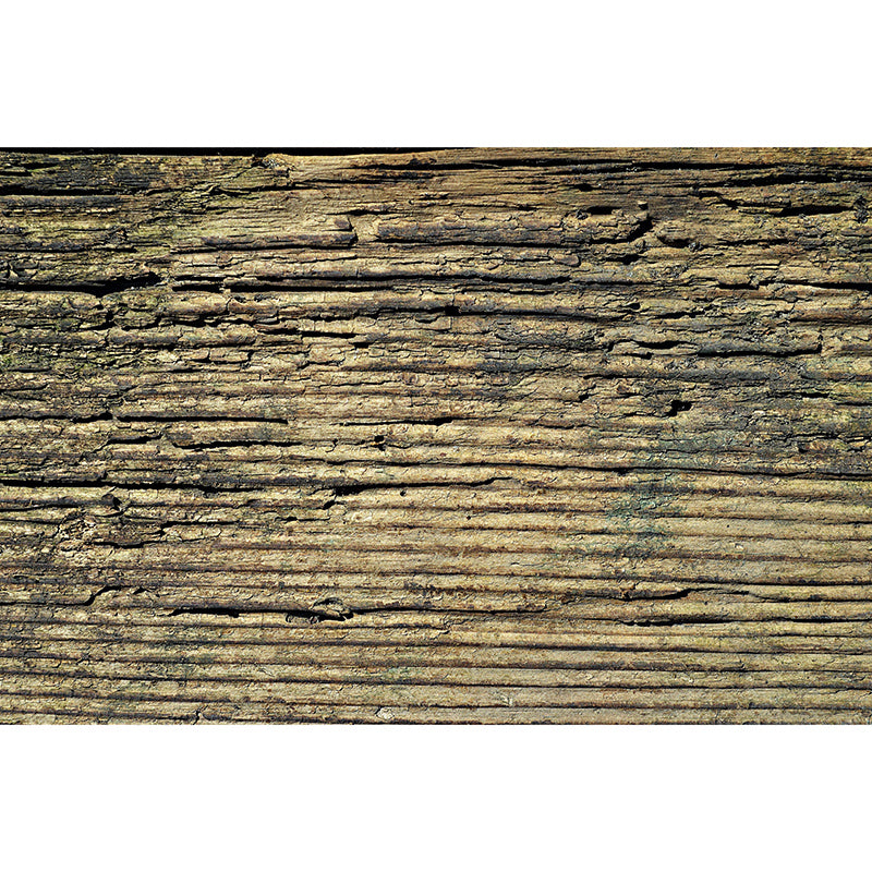 Environment Friendly Mural Wallpaper Industrial Style Wood Texture Mural for Home