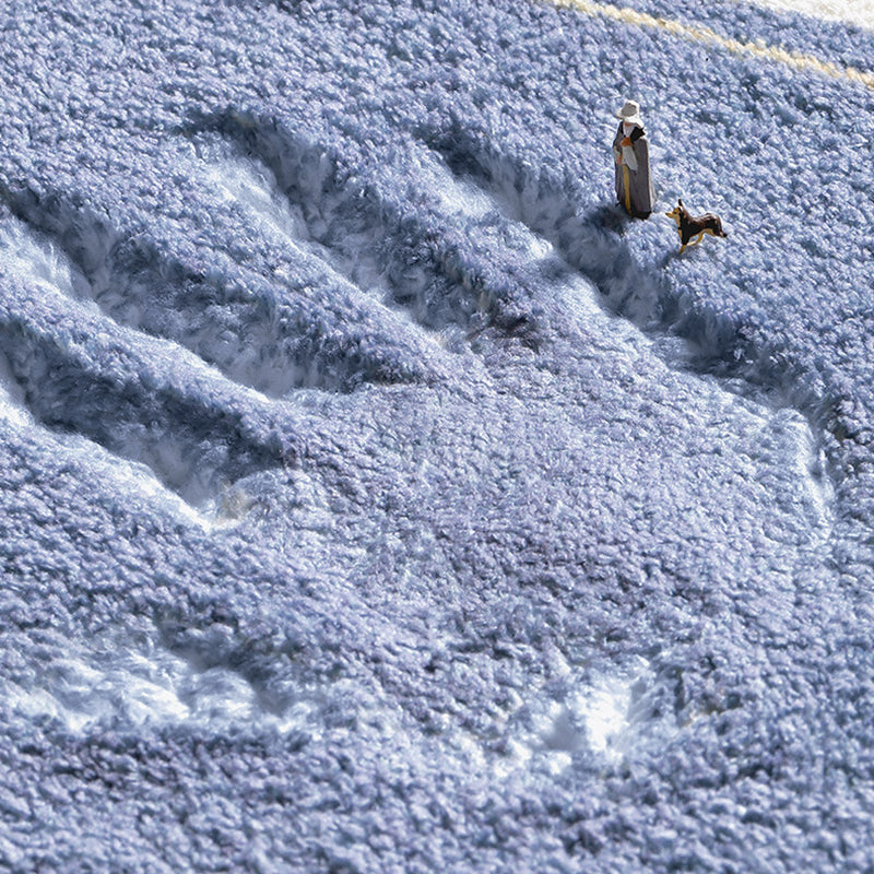 Tapis de couleur de contraste de tapis orange moderne Tapis lavable pour la décoration intérieure