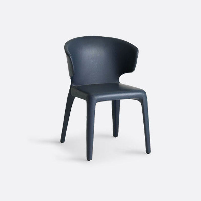 Chaise de salle à manger en métal moderne, bras à oreilles, chaise simple pour usage domestique
