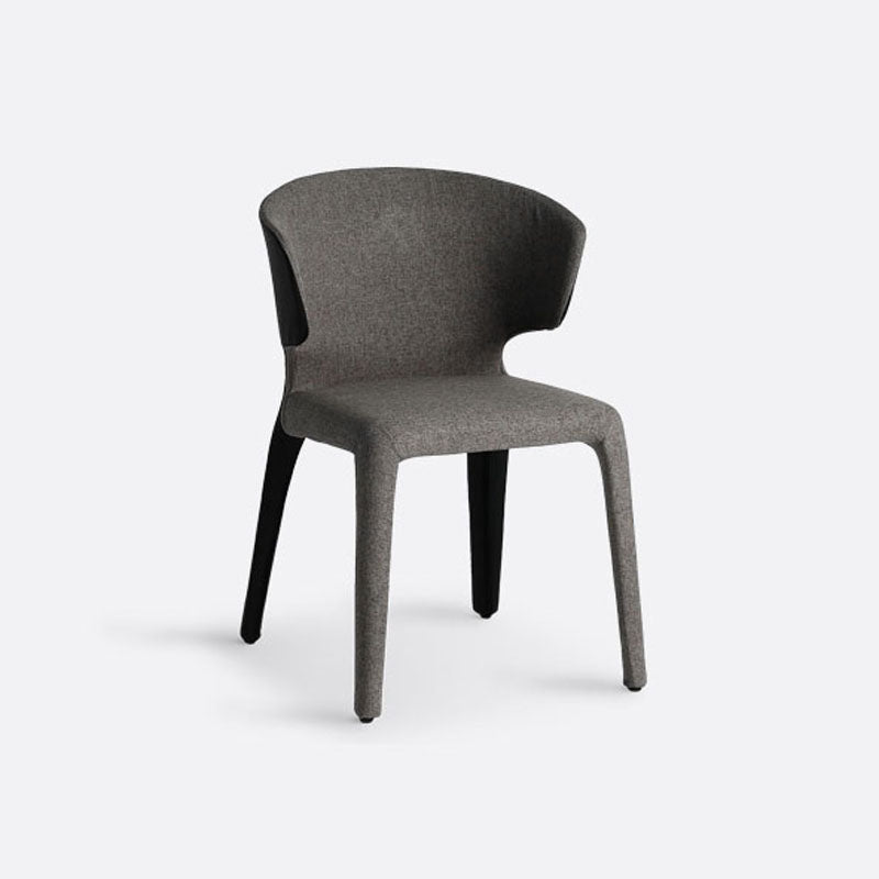 Chaise de salle à manger en métal moderne, bras à oreilles, chaise simple pour usage domestique