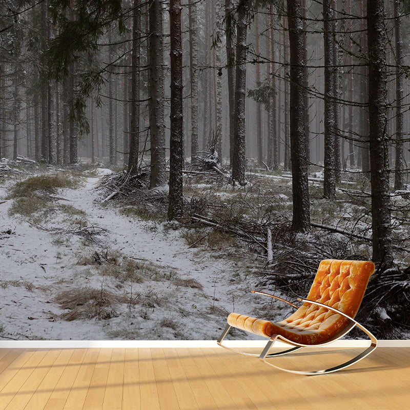 Forest Wall Murals for Home Decoration Stain Resistant, Personalised Size