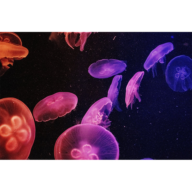 Tropical Sea Fish Mural for Living Room Bedroom, Removable, Customized Size