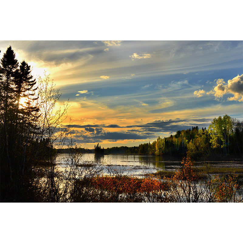 Contemporary Photography Style Sky Mural Wallpaper Mildew Resistant Wall Covering