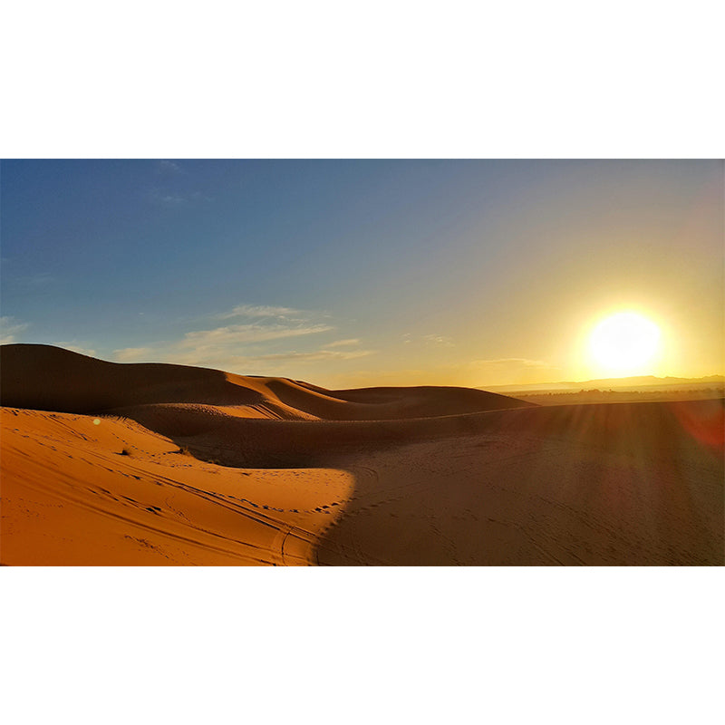 Contemporary Photography Style Desert Mural Mildew Resistant for Wall Decor
