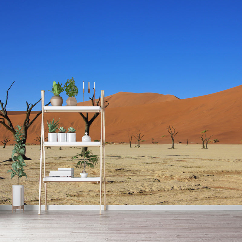 Contemporary Photography Style Desert Mural Wallpaper Mildew Resistant Wall Covering