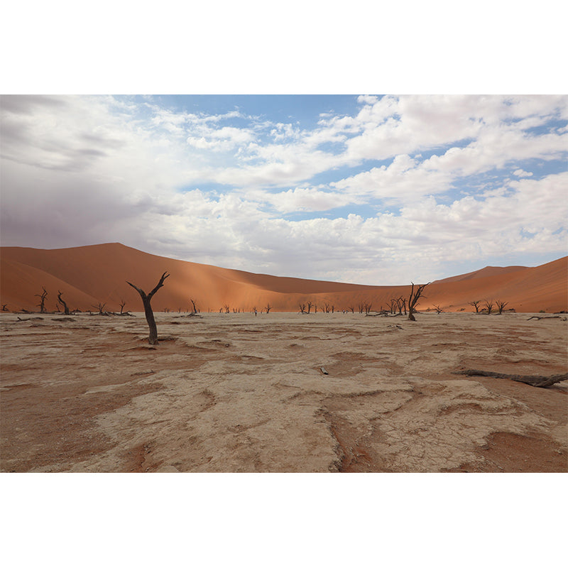 Contemporary Photography Style Desert Mural Wallpaper Mildew Resistant Wall Art