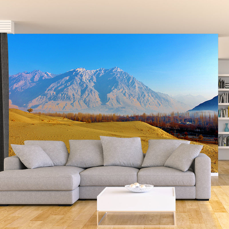 Desert Mural Contemporary Photography Style Wallpaper Mildew Resistant for Decoration