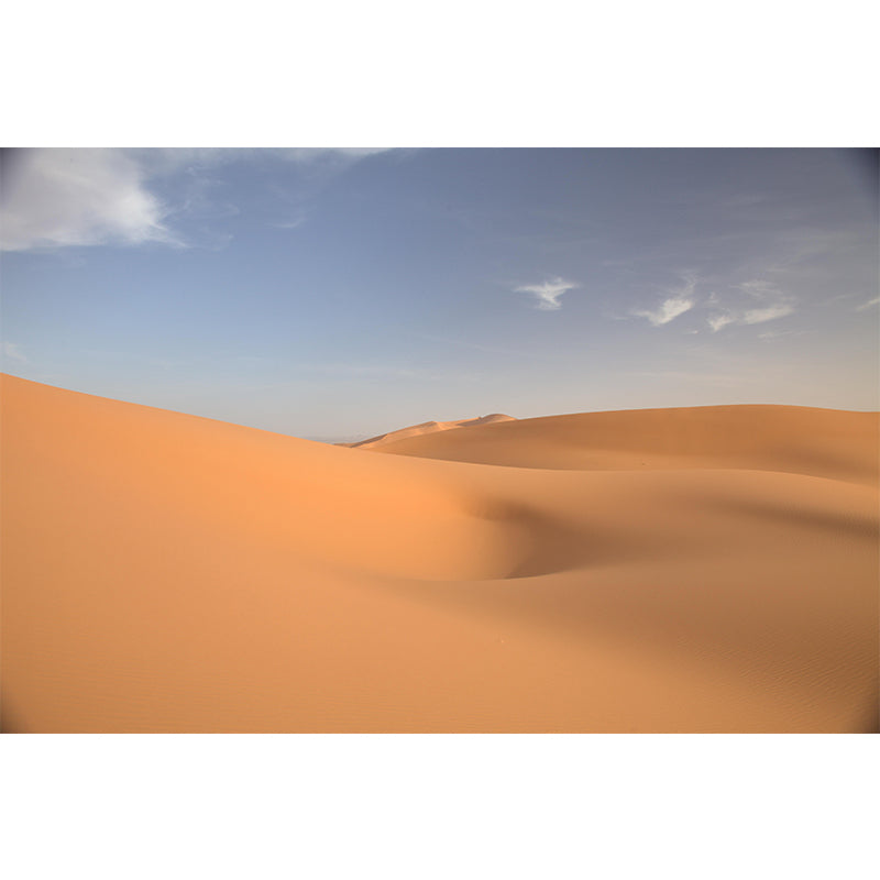 Contemporary Photography Style Desert Mural Wallpaper Mildew Resistant for Room