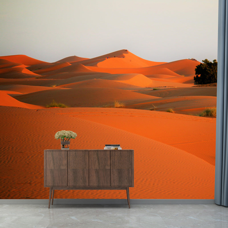 Wall Decor Contemporary Photography Style Desert Mural Wallpaper Mildew Resistant