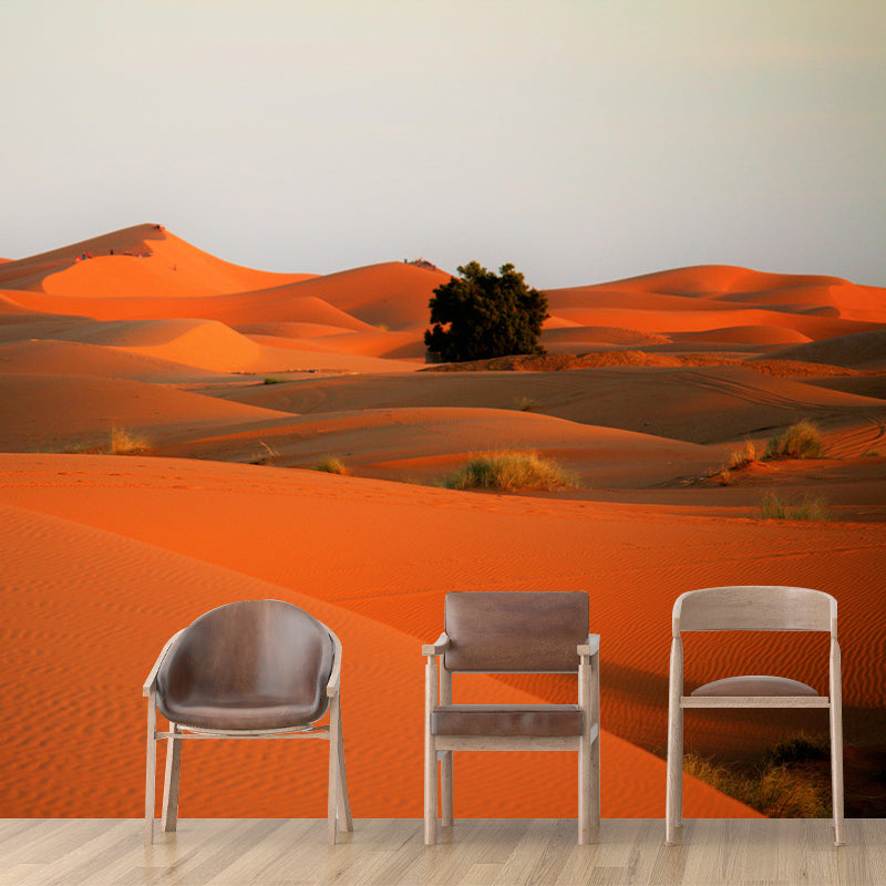 Wall Decor Contemporary Photography Style Desert Mural Wallpaper Mildew Resistant