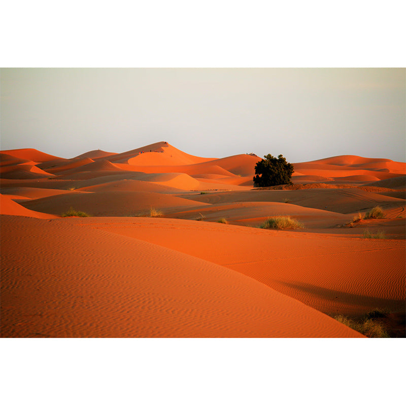 Wall Decor Contemporary Photography Style Desert Mural Wallpaper Mildew Resistant