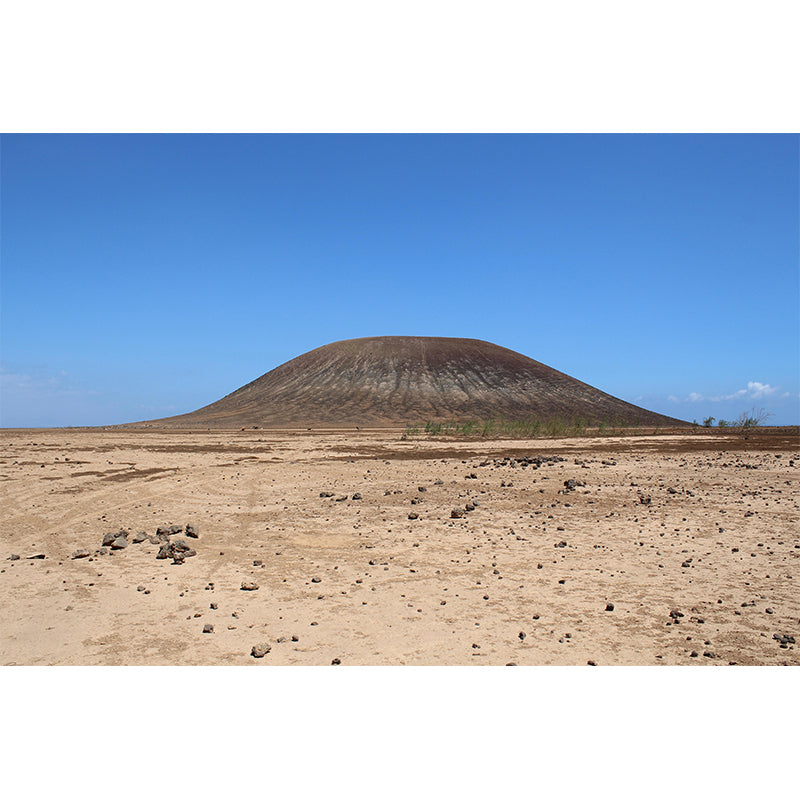 Contemporary Photography Style Desert Mural Wallpaper Mildew Resistant for Home