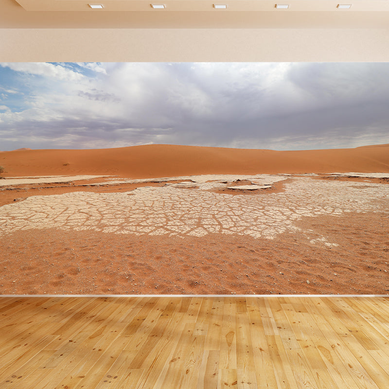 Contemporary Photography Style Desert Mural Wallpaper Mildew Resistant for Home