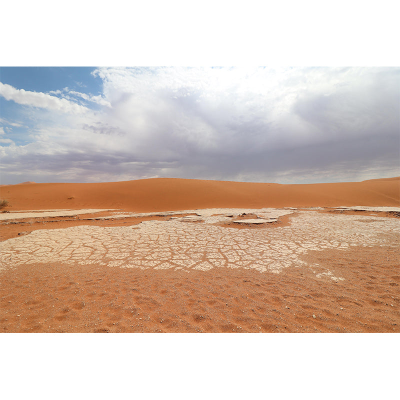 Contemporary Photography Style Desert Mural Wallpaper Mildew Resistant for Home