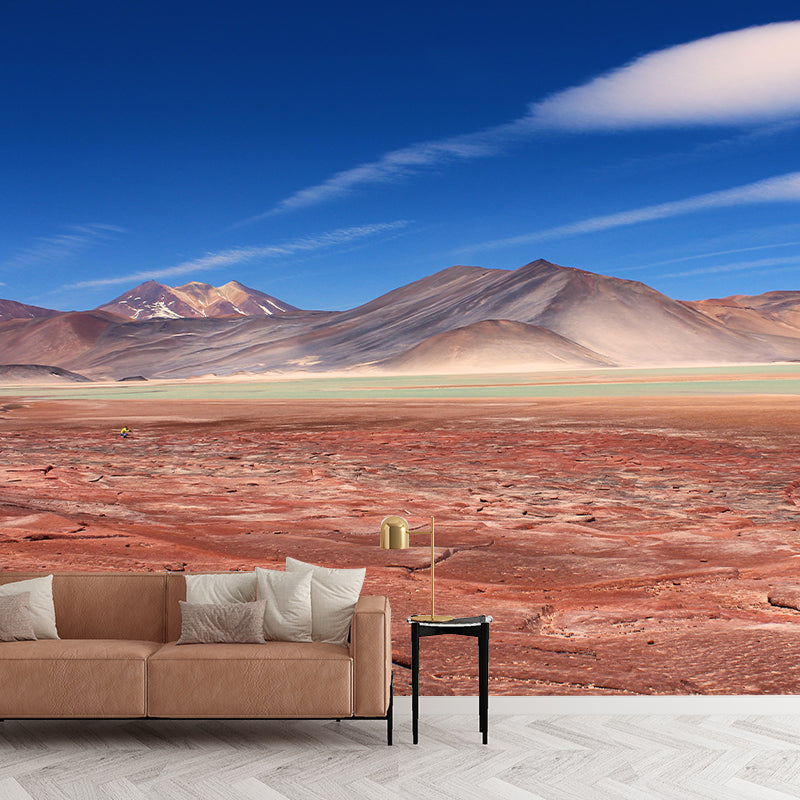 Contemporary Photography Style Desert Mural Wallpaper Mildew Resistant for Home