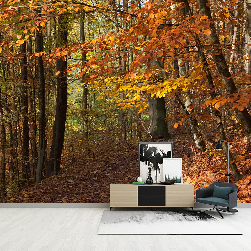 Contemporary Photography Style Forest Mural Wallpaper Mildew Resistant for Dining Room