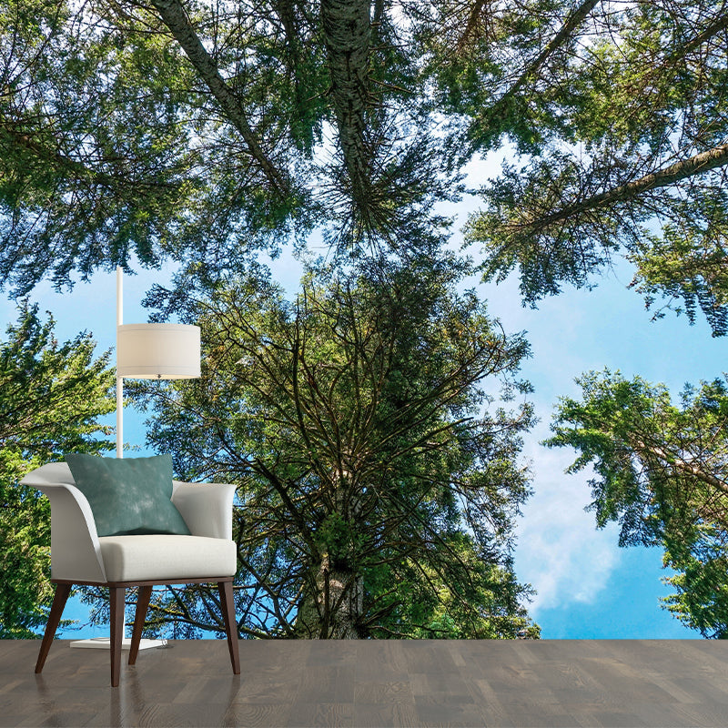 Contemporary Photography Style Forest Mural Wallpaper Mildew Resistant for Dining Room