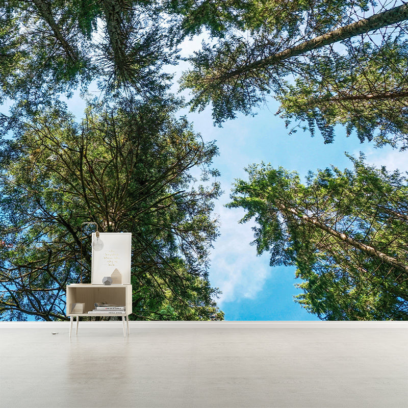 Contemporary Photography Style Forest Mural Wallpaper Mildew Resistant for Dining Room