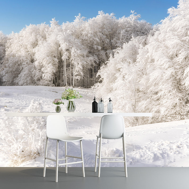 Vivid Photography Style Forest Mural Wallpaper Mildew Resistant for Living Room