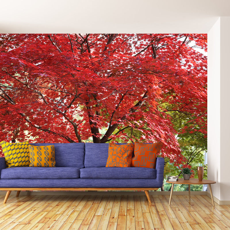 Contemporary Photography Style Forest Mural Wallpaper Mildew Resistant for Bedroom